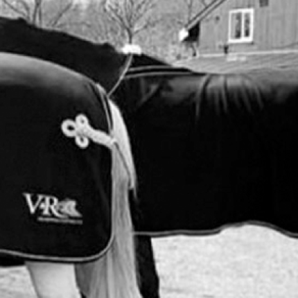 V&R Paardensport